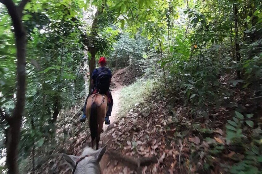 Horseback riding in the mountains