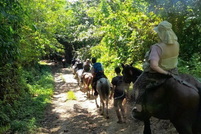 Horseback riding in the mountains