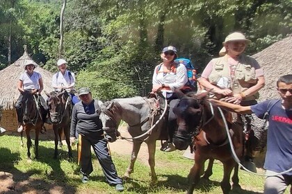 Horseback Riding Tour in Santa Marta and Tayrona Park