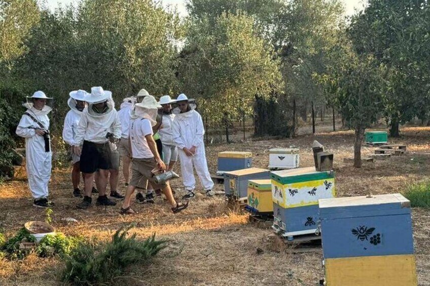 Beekeeping experience and tour to an organic farm