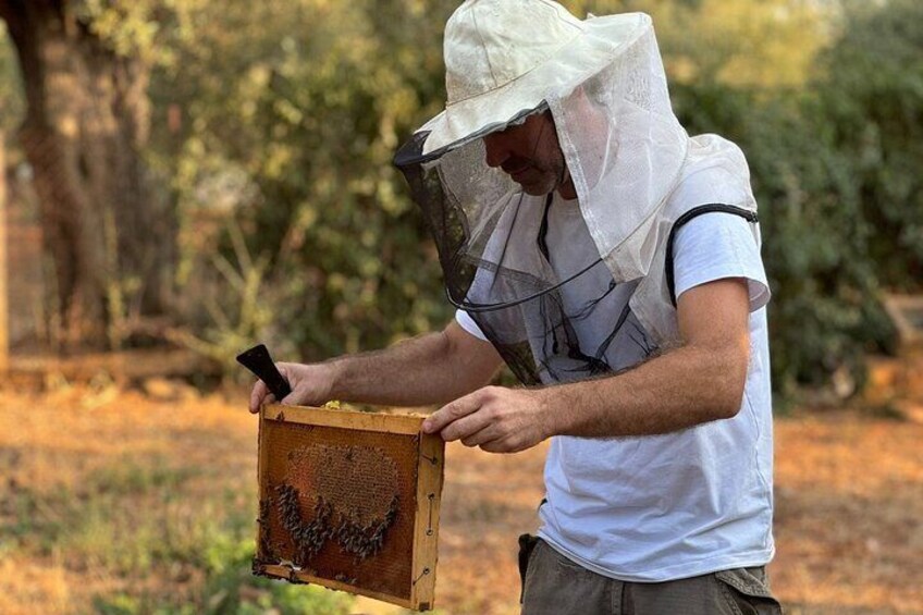 Beekeeping experience and tour to an organic farm