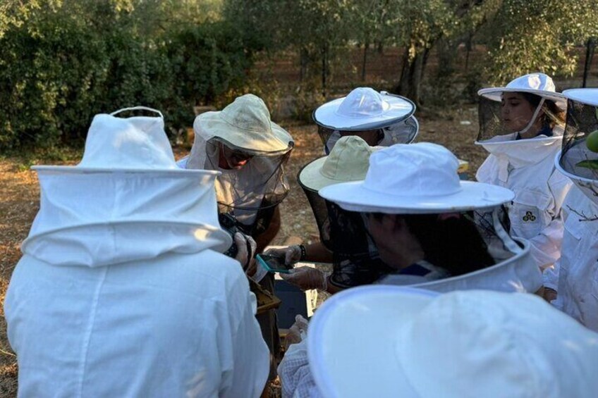 Beekeeping experience and tour to an organic farm