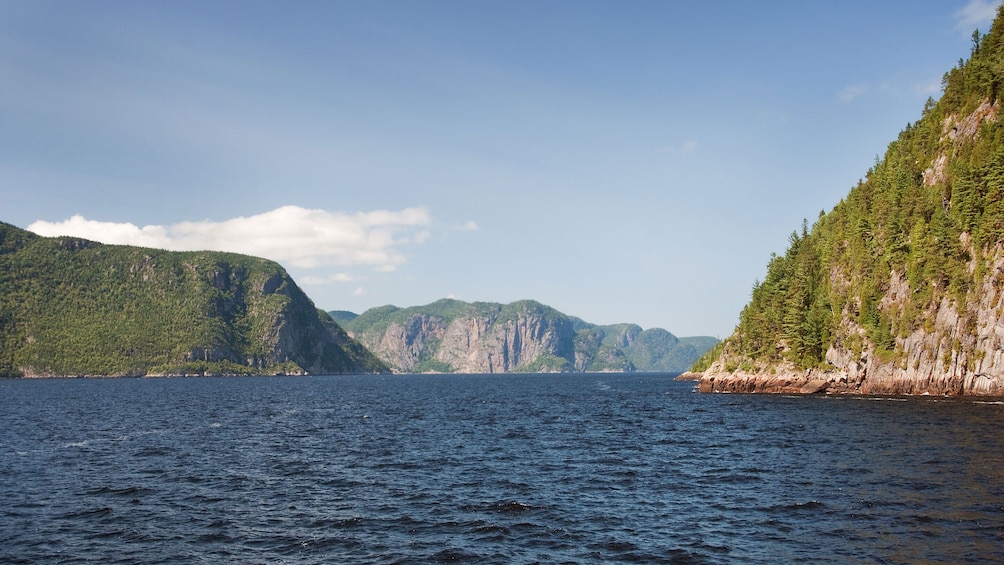 Tadoussac/Charlevoix: Zodiac Seal Watching Tour