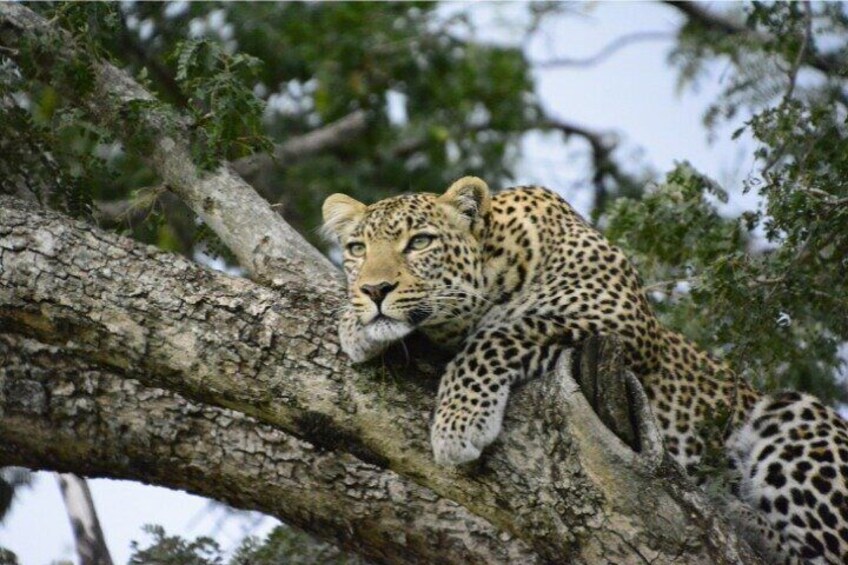 2 Day Nairobi Guided and Interactive Sightseeing Tour