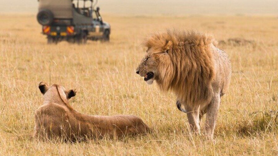 2 Day Nairobi Guided and Interactive Sightseeing Tour