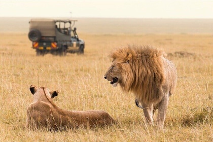 2 Day Nairobi Guided and Interactive Sightseeing Tour