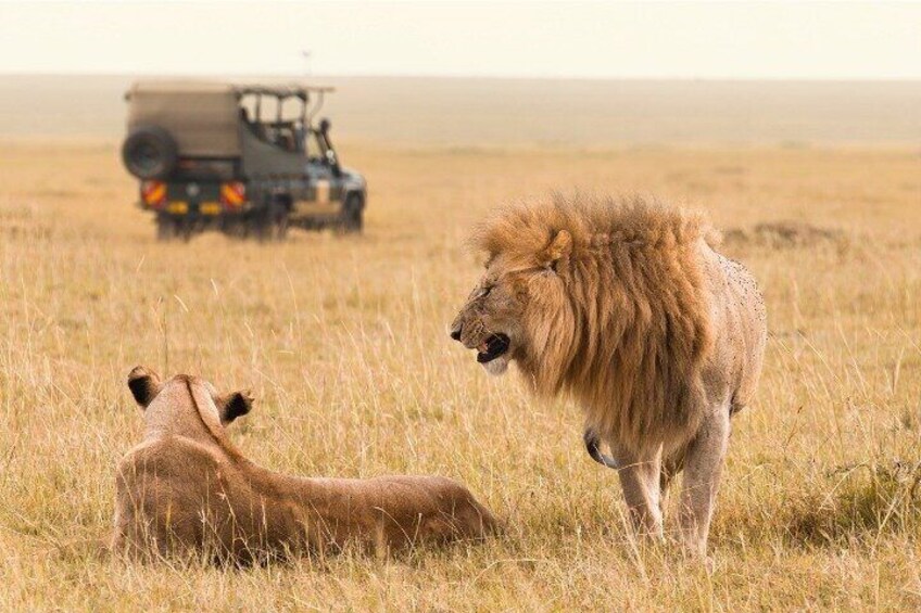 2 Day Nairobi Guided and Interactive Sightseeing Tour