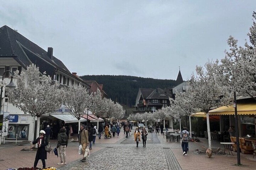 Black Forest Germany Private Tour for 1 to 8 Persons