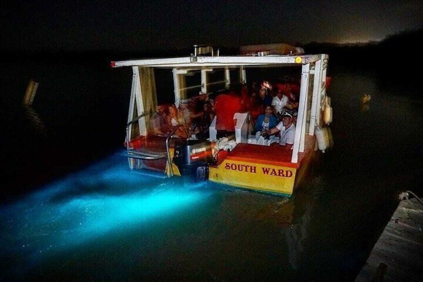 Luminous Lagoon Boat Tour