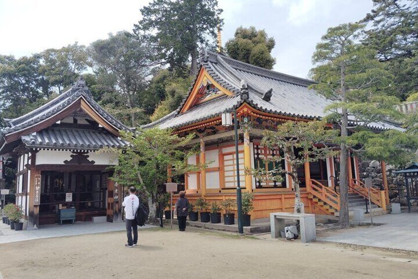 Experience the Historic Nakayama dera Temple