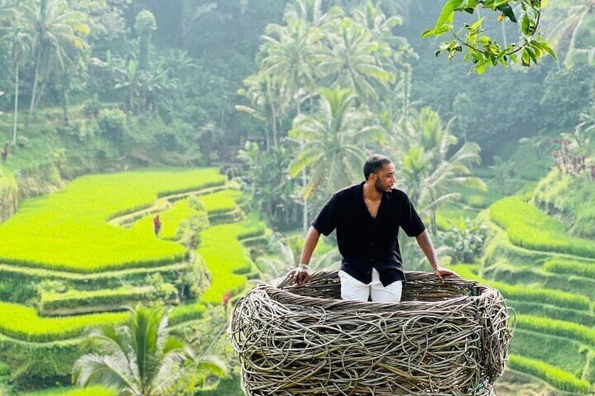 Iconic Ubud Day Trip