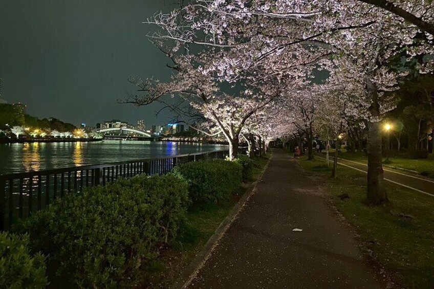 Osaka Kyoto and Nara Nightlife with Local Food