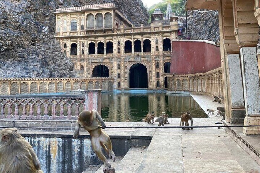 Galtaji Monkey Temple