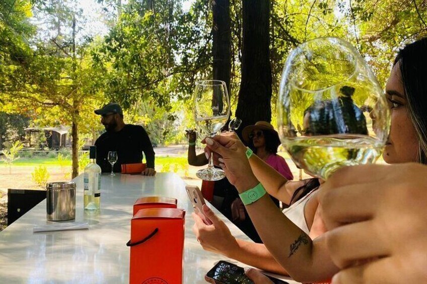 1 Day Tour of Viña Concha y Toro from Santiago