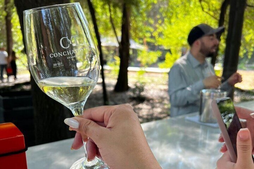1 Day Tour of Viña Concha y Toro from Santiago