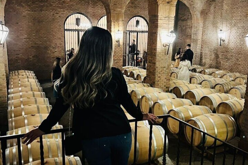 1 Day Tour of Viña Concha y Toro from Santiago