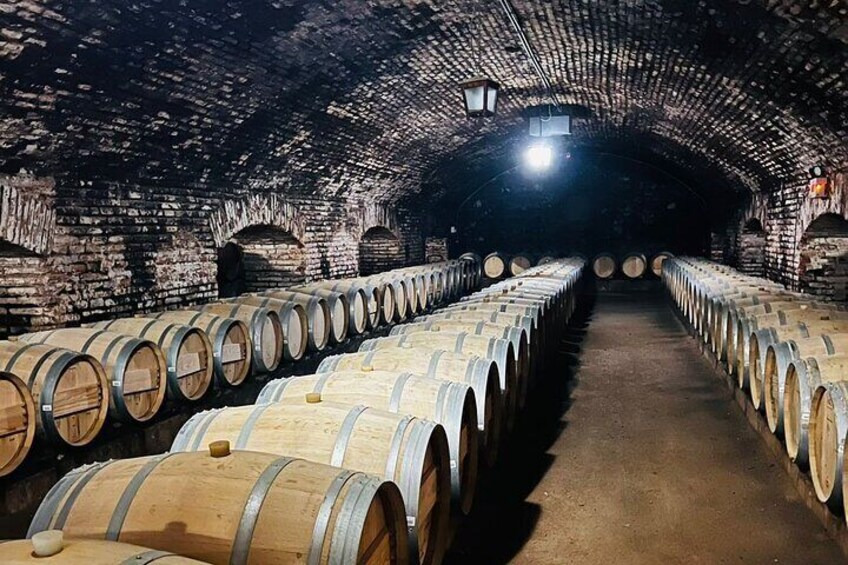 1 Day Tour of Viña Concha y Toro from Santiago