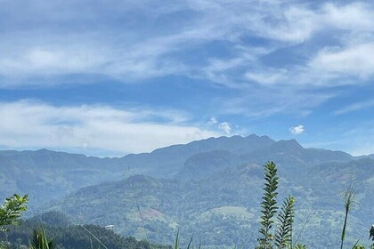 Knuckles Peak and Jodu Ella Waterfall Tour by Hiking