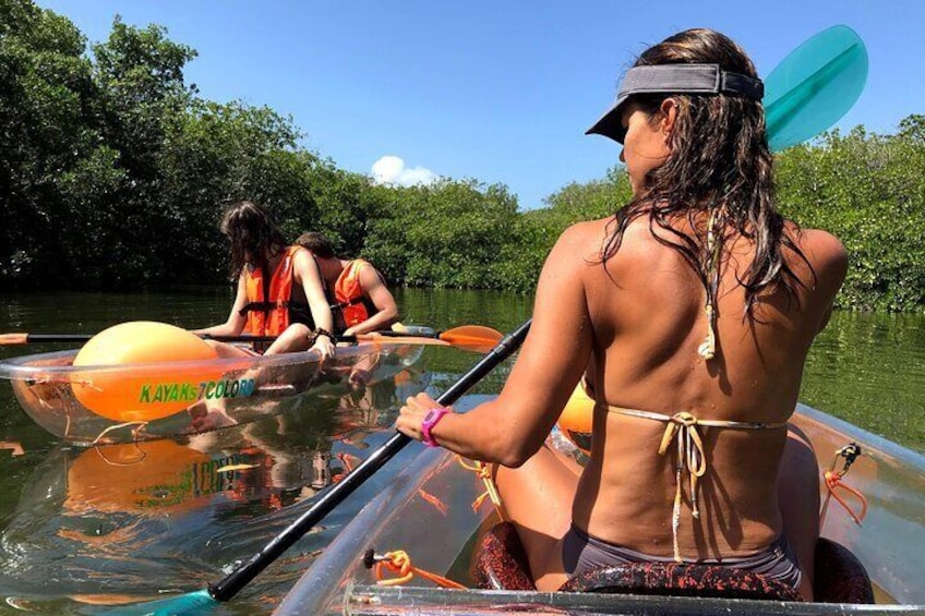 Transparent Kayaking Tour in the Mangroves of San Andres