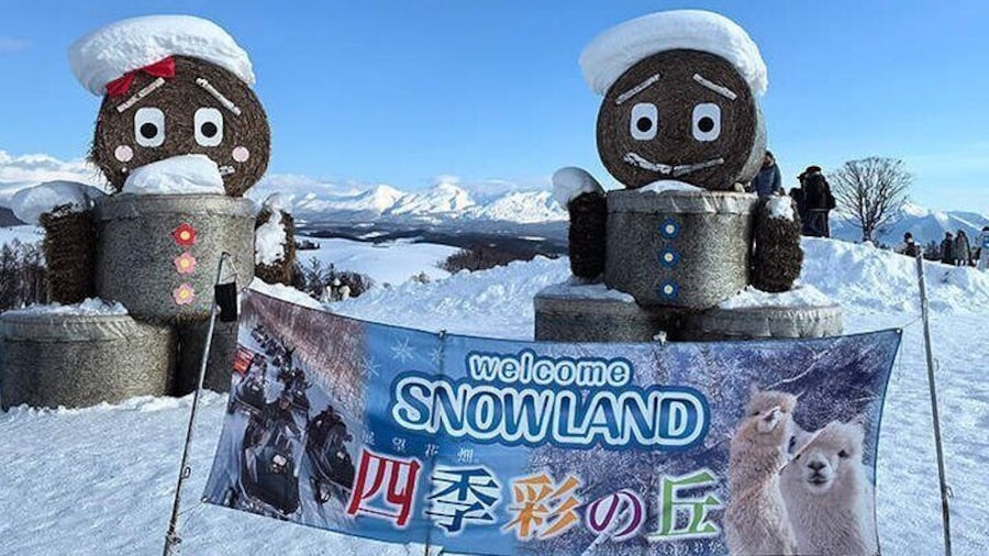 Asahiyama Zoo, Biei tree, Shirohige Falls & Blue Pond Day Tour