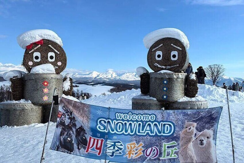 Asahiyama Zoo, Biei tree, Shirohige Falls & Blue Pond Day Tour