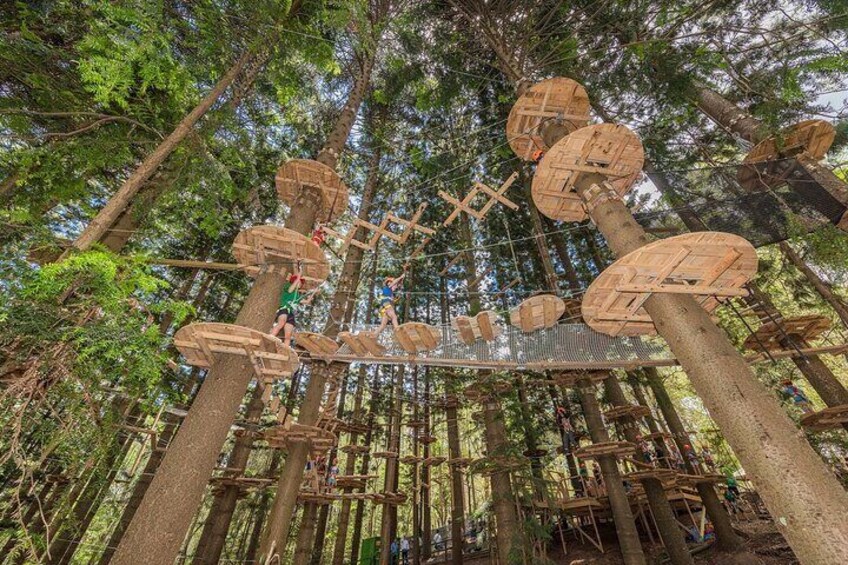 Treetops Adventure The Hills - Tree Ropes Course