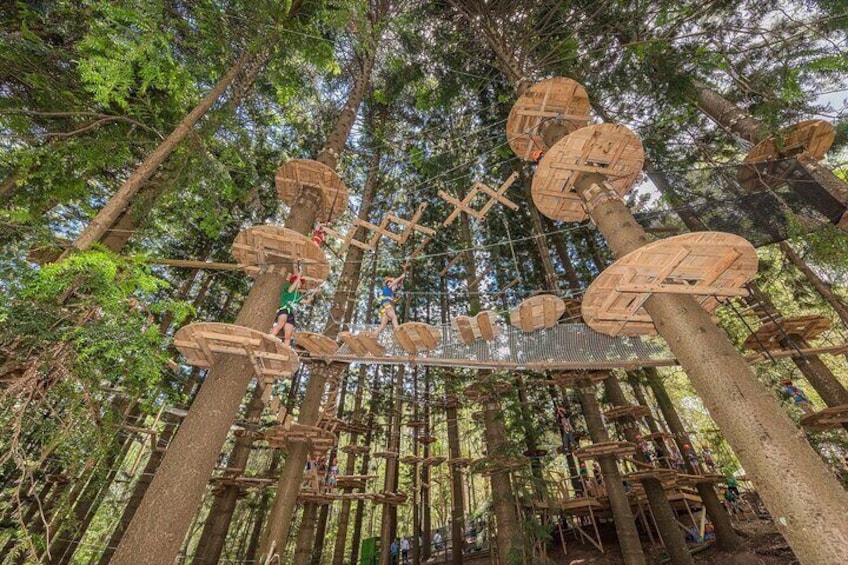 Treetops Adventure The Hills - Tree Ropes Course