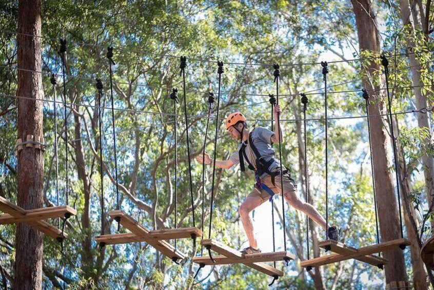 Treetops Adventure The Hills - Tree Ropes Course