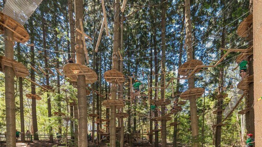 Treetops Adventure The Hills - Tree Ropes Course