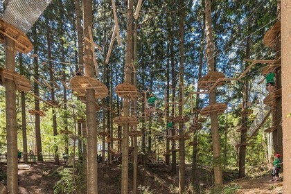 Treetops Adventure The Hills - Tree Ropes Course