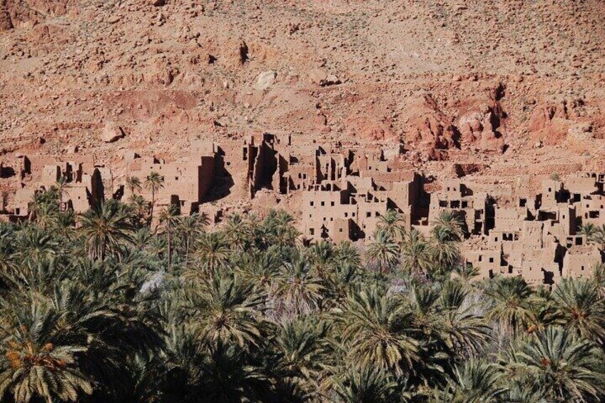 Step into the wild beauty of Todra Gorge – where every trail tells a story.