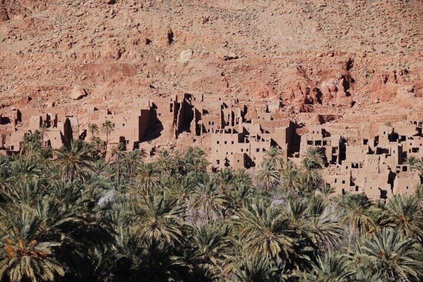 Step into the wild beauty of Todra Gorge – where every trail tells a story.