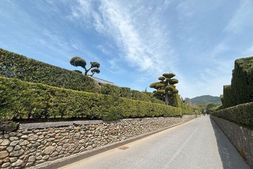 A peaceful lane, Chiran town.