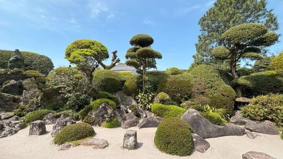 Sata Tamiko's garden.