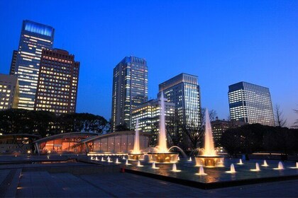 Tokyo Night Tour Imperial Palace and Station Lights for Layovers