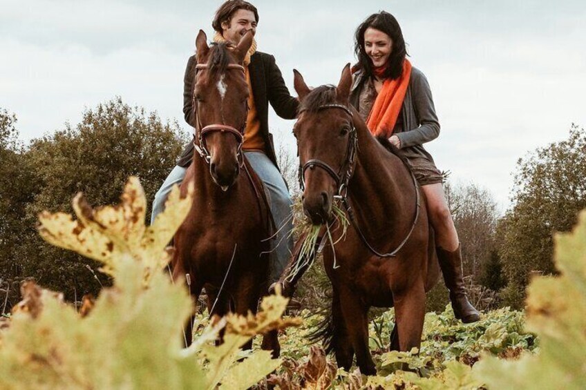 Florence Horseback Wine Tour Via Di Colline