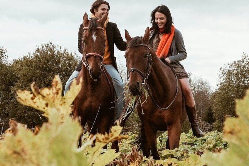 Florence Horseback Wine Tour Via Di Colline