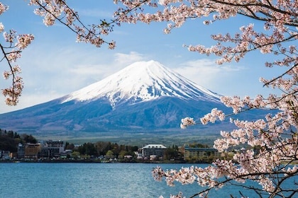Day Trip To Mount Fuji and Hakone from Tokyo with English Guide
