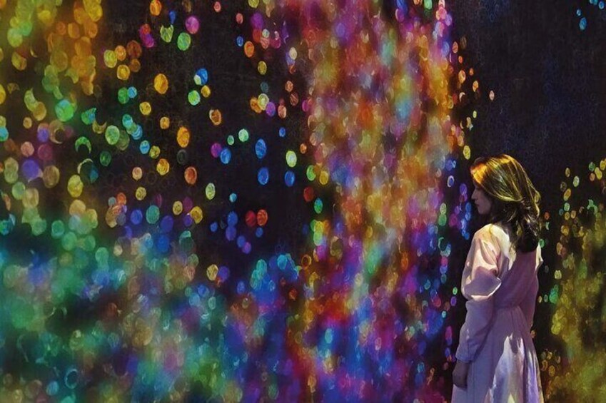 Teamlab Phenomena Abu Dhabi Tickets