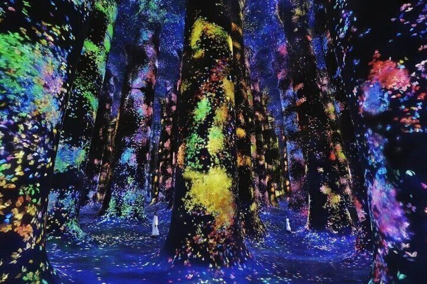 Teamlab Phenomena Abu Dhabi Tickets