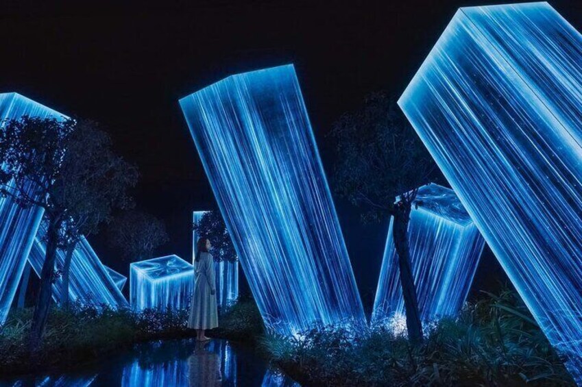 Teamlab Phenomena Abu Dhabi Tickets