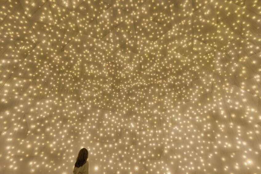 Teamlab Phenomena Abu Dhabi Tickets