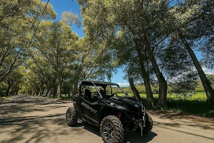 Buggy Safari Adventure in Crete