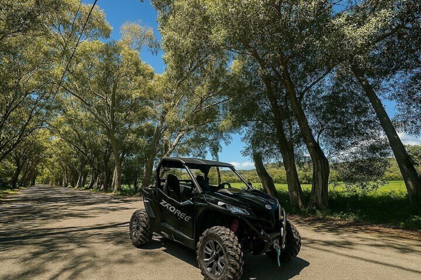 Buggy Safari Adventure in Crete