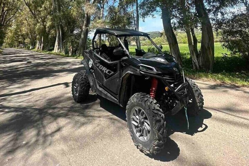 Buggy Safari Adventure in Crete