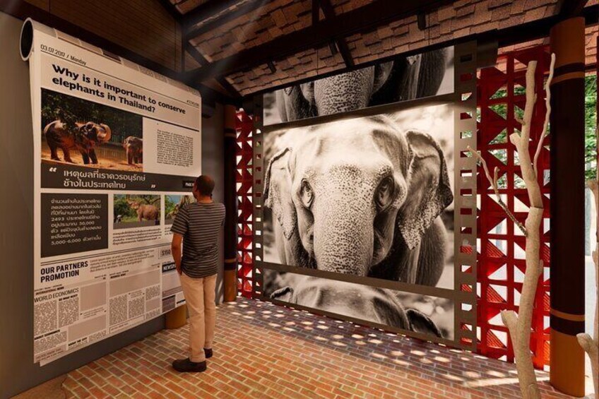 Koh Samui Elephant Home Sanctuary and Elephant Museum