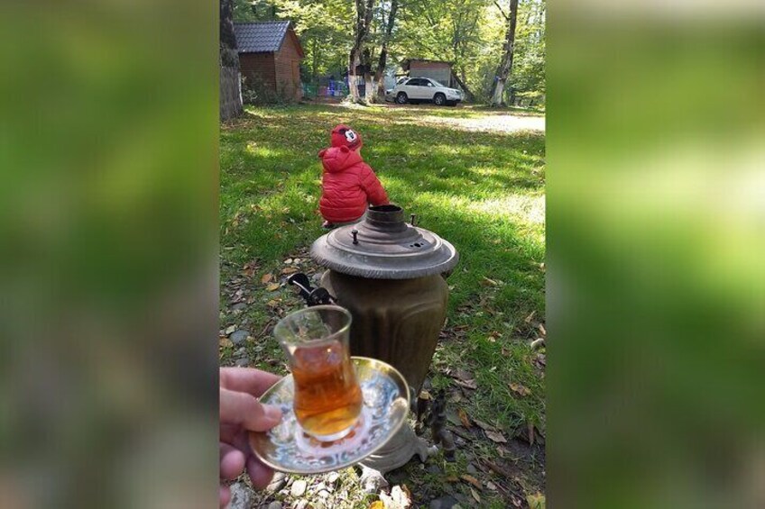 Lankaran Tea
Grown in the lush, subtropical climate of southern Azerbaijan, Lankaran tea is known for its rich flavor and soothing aroma a true taste of the Caspian coast
