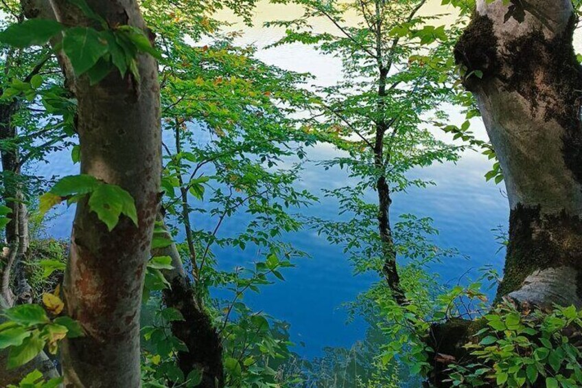 Lake Xanbulan
Located in Lankaran, Lake Xanbulan is a peaceful reservoir surrounded by lush forests. Built in 1976, it offers stunning nature views, picnic spots, and hiking trails perfect for a relax