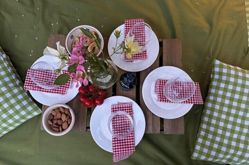 Picnic among the olive groves tasting in the countryside of Conversano