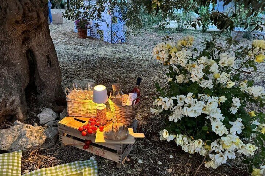 Picnic among the olive groves tasting in the countryside of Conversano